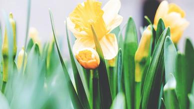 7 Tips For Selling in the Spring
