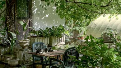 Making your outdoor space come alive